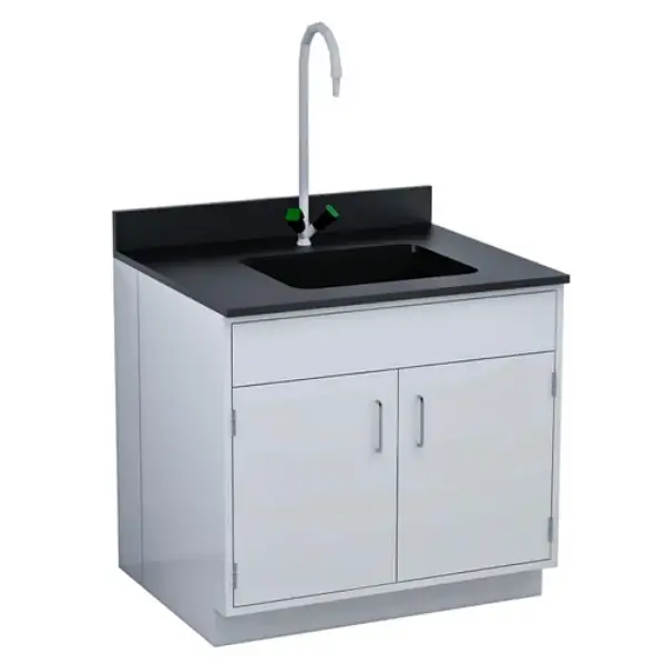 Lab Utility Sink Fixture